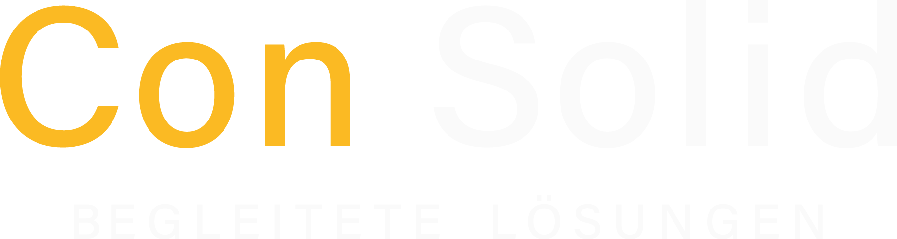 Con Solid — Begleitete Lösungen